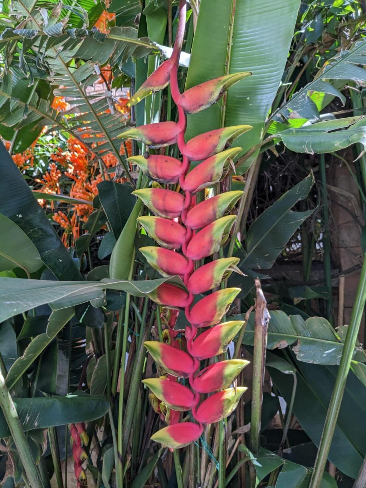 לינה וארוחת בוקר אנטננריבו Le Manoir מראה חיצוני תמונה